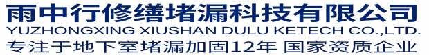 仙桃雨中行修缮堵漏科技有限公司
